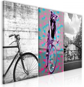 Artgeist Obraz - Bikes (Collection) Veľkosť: 60x30, Verzia: Standard