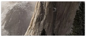 Obraz z údolia Yosemite národnej parku, USA (120x50 cm)