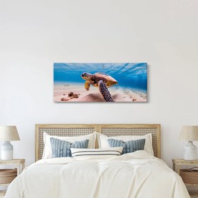 Obraz korytnačky v oceáne (120x50 cm)