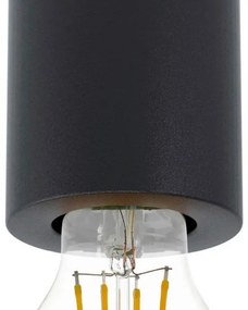 Eglo 99065 - Stropné svietidlo SALUZZO 1xE27/40W/230V