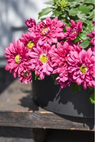 Miska na dekorácie CIRCULO, sklolaminát, Ø 30 cm, antracit