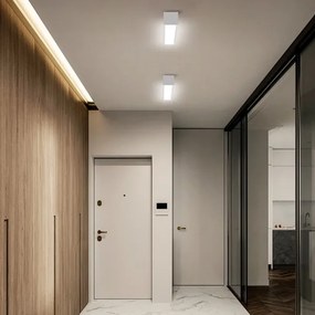 Immax NEO 07257L - LED Stmievateľné svietidlo LUNGO 20W/230V Wi-Fi Tuya biela + DO