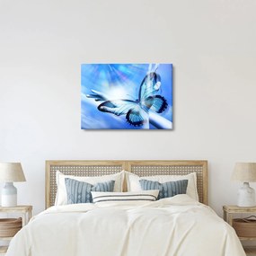 Obraz - Motýľ, symbol nádeje (70x50 cm)