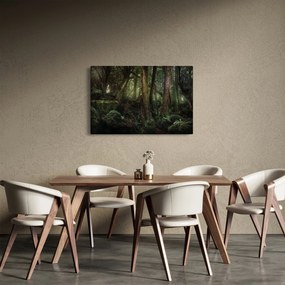 Obraz - Tajomný les (90x60 cm)