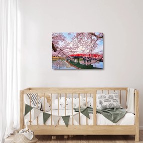 Sklenený obraz - Hirosaki, Japonsko (70x50 cm)