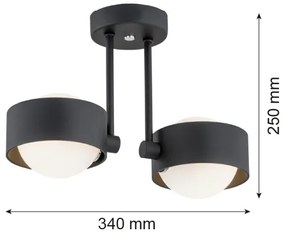 Argon 7089 - Luster na tyči MASSIMO PLUS 2xG9/6W/230V čierna