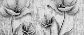 Obraz - Čiernobiele kvety na pozadí (120x50 cm)