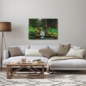 Obraz potoka v lese (70x50 cm)