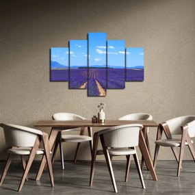 Obraz - Levanduľové pole (150x105 cm)