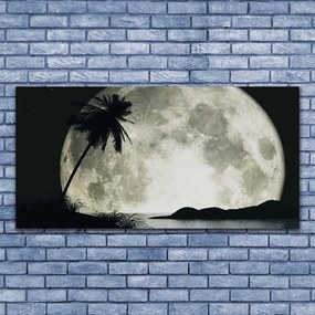 Obraz na akrylátovom skle Noc mesiac palma krajina 120x60 cm