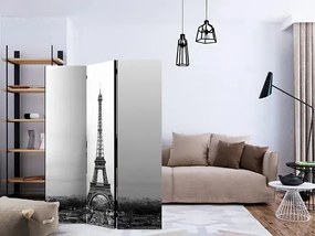 Paraván - Paris: black and white photography [Room Dividers]