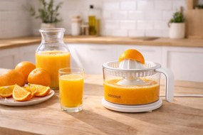 Concept CE3540 lis na citrusy, biela