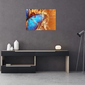 Sklenený obraz - Modrý motýľ (70x50 cm)