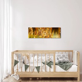 Obraz - Detail rosy (s hodinami) (90x30 cm)