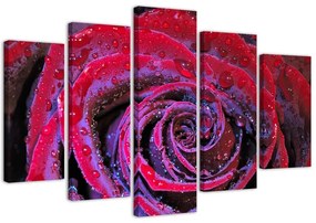 Obraz na plátně pětidílný Červený květ růže - 150x100 cm