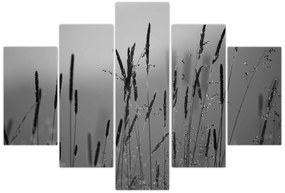 Obraz - Steblá trávy (150x105 cm)