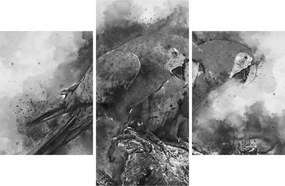 Obraz - Akvareloví papagáje (90x60 cm)
