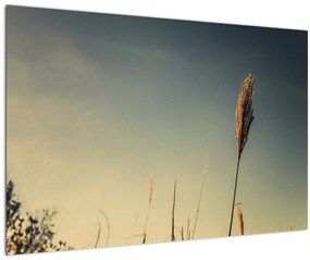Obraz s trávou (90x60 cm)
