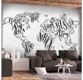 Artgeist Fototapeta - Retro Continents (Grey) Veľkosť: 250x175, Verzia: Premium