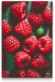 Gario Diamantové maľovanie Šťavnaté maliny Rozmery: 40 x 60 cm, Rámovanie: Iba zrolované plátno, Diamanty: Štvorcové