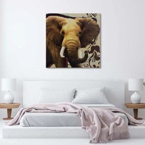 Obraz na plátně Slon Afrika Zvíře - 50x50 cm