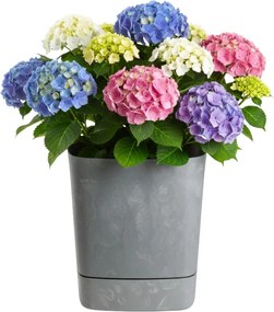 PLASTOVÝ KVETINÁČ CUBI 34X36,5 CM IMITÁCIA BETÓNU SIVÁ