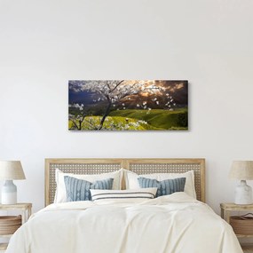 Obraz - Rozkvitnutý strom v krajine (120x50 cm)
