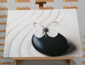 Obraz biely motýľ na čiernom kameni - 60x40