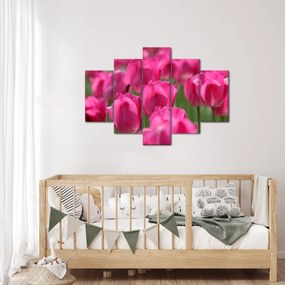 Obraz - Ružové tulipány (150x105 cm)