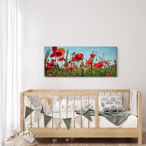 Obraz - Na poli vlčích makov (120x50 cm)