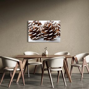 Obraz - Šišky (90x60 cm)