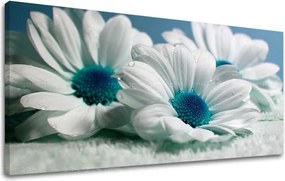 Obraz na stenu Panoráma KVETY XOBKV126E13 - 30x60 cm