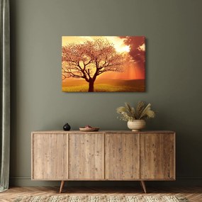 Obraz lúčov Boha (90x60 cm)