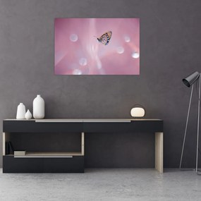 Obraz - Motýľ (90x60 cm)