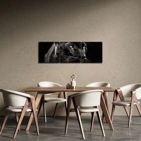Obraz - Čierny panter (s hodinami) (90x30 cm)