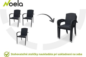 Noela Záhradná ratanová stolička Roma