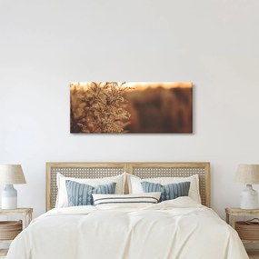 Obraz kvitnúcej trávy (120x50 cm)