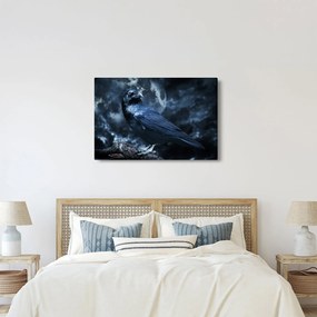 Obraz - Havran (90x60 cm)