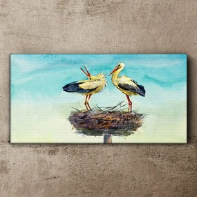 Obraz canvas Zvieratá vtáčie labute