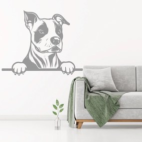 Veselá Stena Samolepka Americký staford Farba: žlutá, Veľkosť: 80 x 65 cm