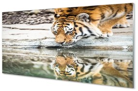 Sklenený obraz tiger pitie 125x50 cm