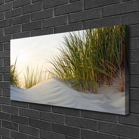 Obraz Canvas Piesok tráva krajina 120x60 cm