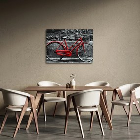 Obraz - Historický bicykel (70x50 cm)
