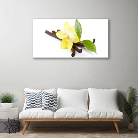 Obraz Canvas Vanilka listy rastlina 125x50 cm