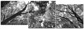 Obraz na plátne - Zelené stromy v lese - panoráma 5194QD (120x40 cm)