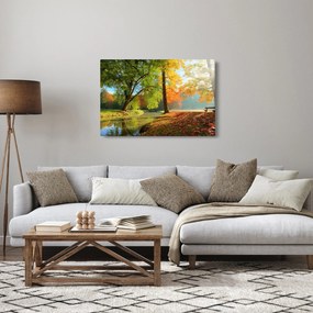 Obraz - Pokojná jesenná krajina (90x60 cm)