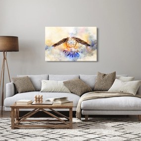 Obraz - Lapač snov s pierkami (90x60 cm)