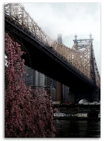 Gario Obraz na plátne Ed Koch Queensboro Bridge - Dmitry Belov Rozmery: 80 x 120 cm