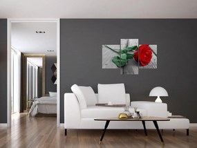Obraz - Červená ruža so zelenou stonkou (90x60 cm)