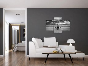 Obraz - Lietadlo čiernobiele (90x60 cm)